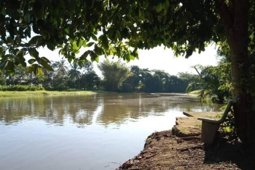 Casa Flor De Annia ~ Cozy 2 Bdrm On The River Sierpe ~ Walkable To Townヴィラ エクステリア 写真