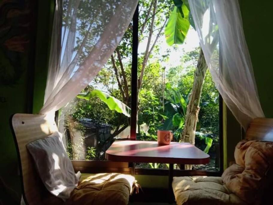 Casa Flor De Annia ~ Cozy 2 Bdrm On The River Sierpe ~ Walkable To Townヴィラ エクステリア 写真